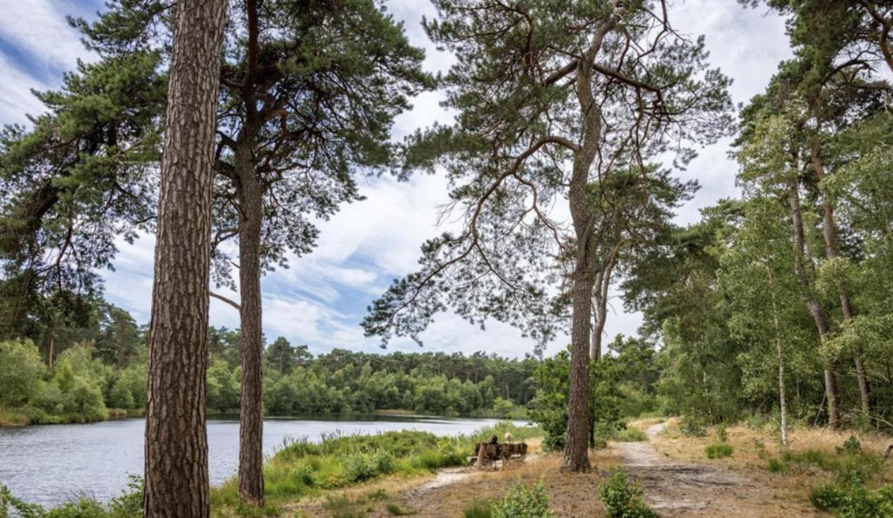29, Natuurlijk Gelegen Nabij Efteling En Beekse Bergen, Airco & Prive Parkeren Inbegrepen! โอสเตอร์ไวก์ ภายนอก รูปภาพ