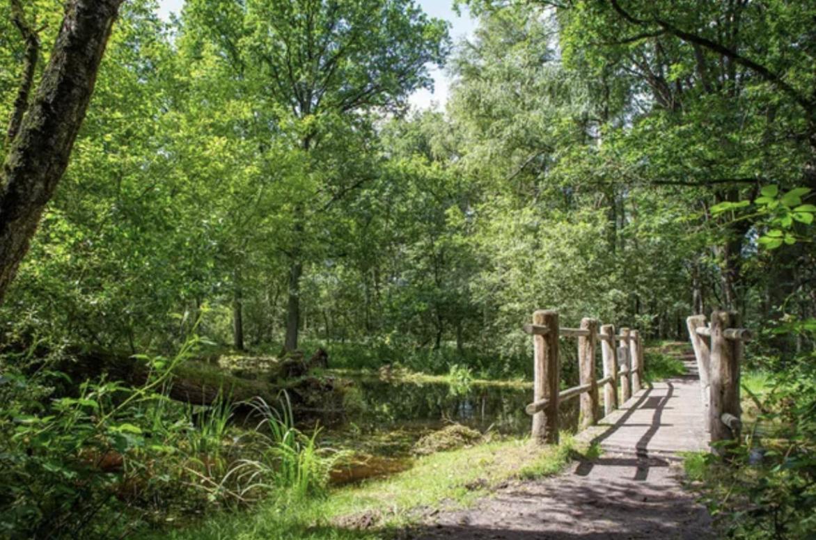 29, Natuurlijk Gelegen Nabij Efteling En Beekse Bergen, Airco & Prive Parkeren Inbegrepen! โอสเตอร์ไวก์ ภายนอก รูปภาพ